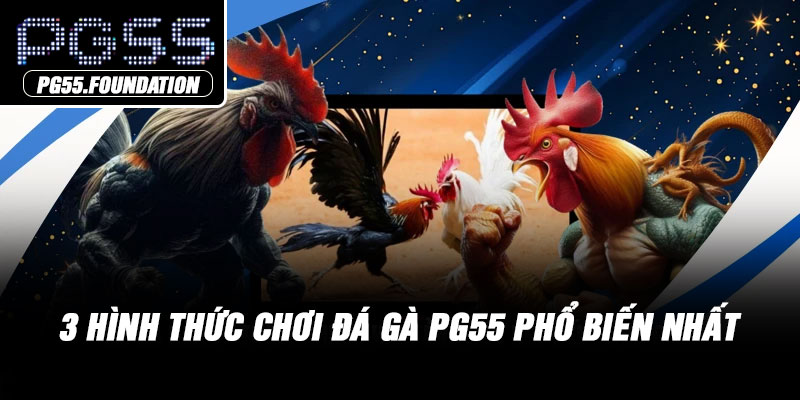 3 hình thức chơi đá gà PG55 phổ biến nhất