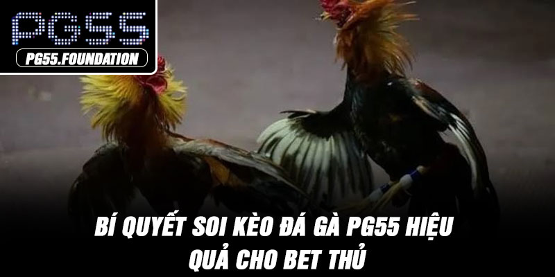 Bí quyết soi kèo đá gà PG55 hiệu quả cho bet thủ